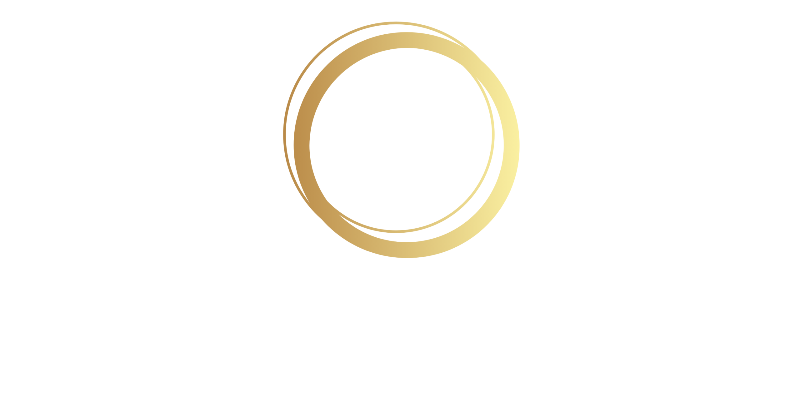Color logo - no background